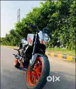 2018 model
