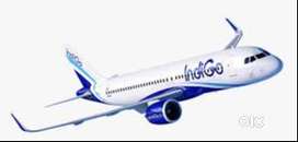 Golden opportunity for freshers apply fast  Limited seats online proce