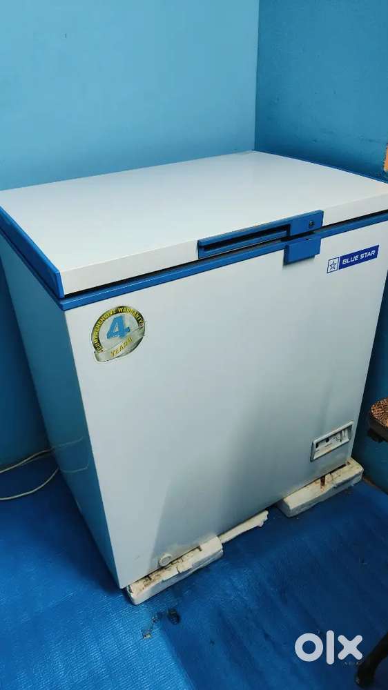 Bluestar fridge 150 litter