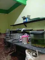 Kichen table 1 marbile table 1wash baisan1 tea counter 1cash counter 1