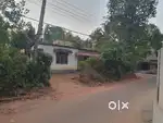 10 Cent land with house