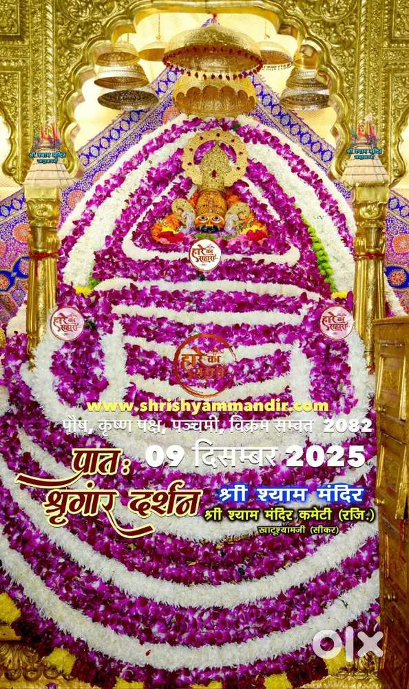 Only night k liye contact kre