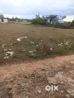 Ranga Nagar
