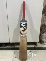 SG kashmiri willow bat for kids