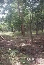 Running farmhouse