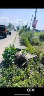 Dineshpur jainagar Main road highway plot