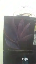 Samsung double door