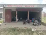 75 gaj ma teen dukane bani hui bamba ki patri me bikau hai