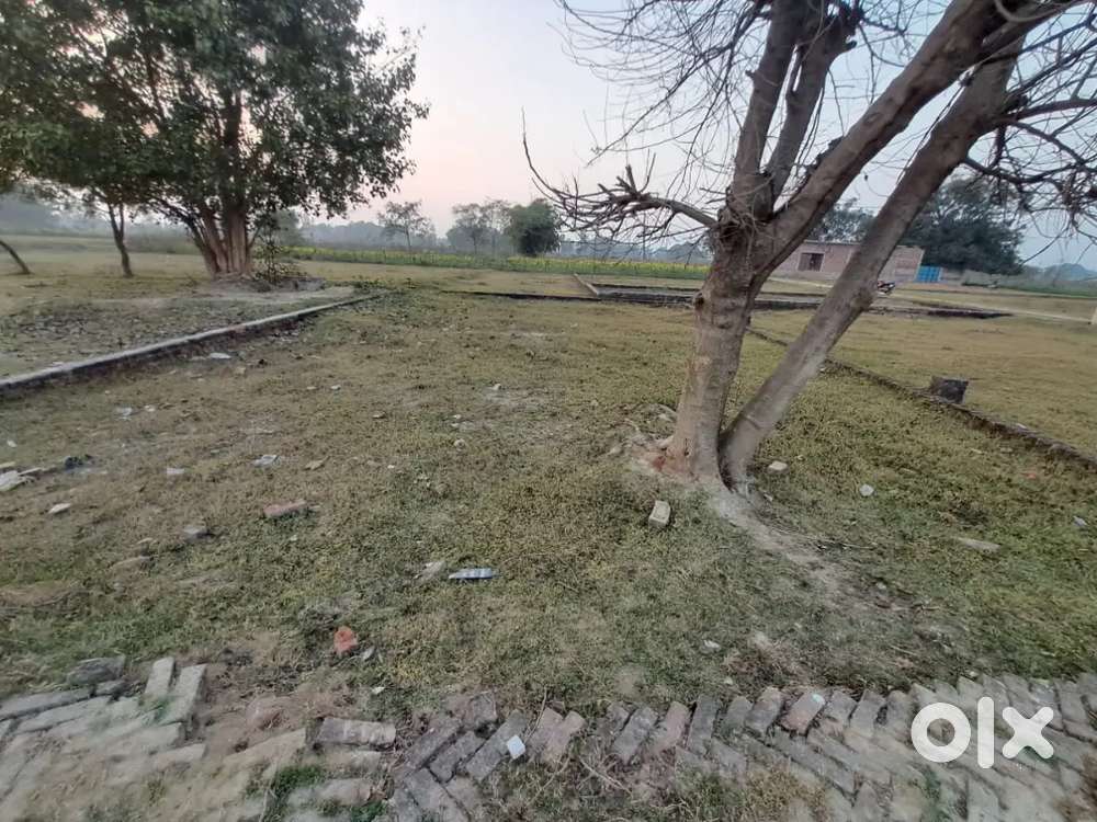 “Plot for Sale in Khaira mandir area – Genuine Buyers Only”