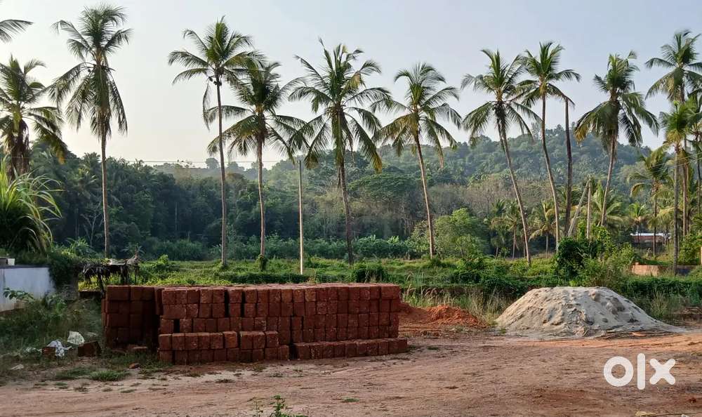 Gurupura layout ,Near main Road.