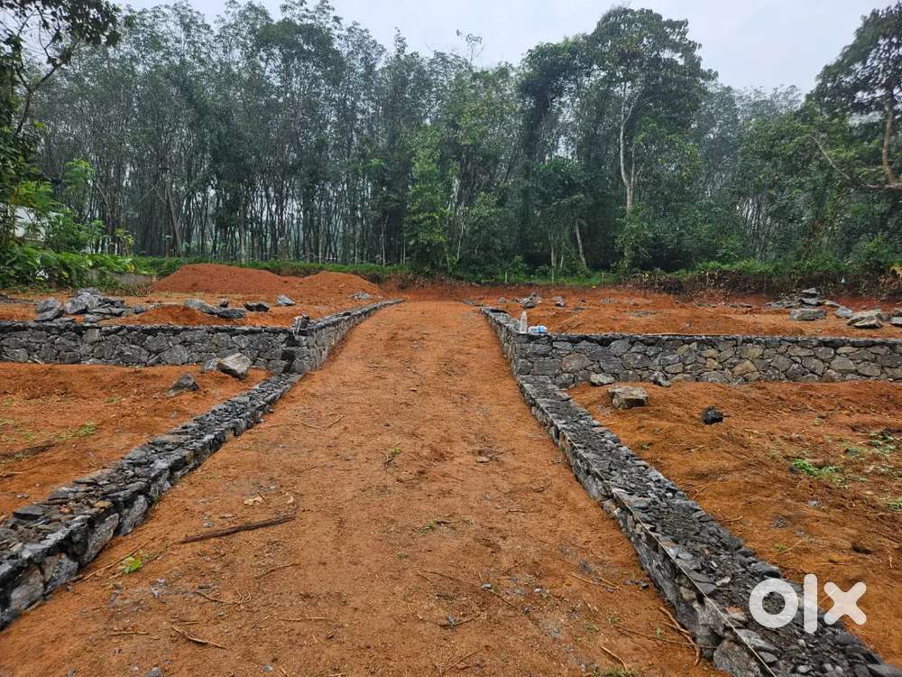 Plot for sale Perumbavoor arakkappady