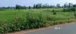 ROAD SIDE PLOT