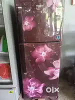 Branded refrigerator double door