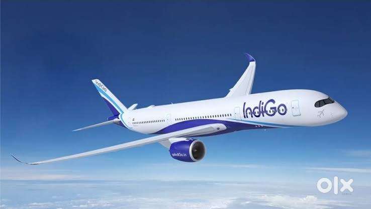 Urgent Requirement For Ground Staff Jobs In IndiGo Airlines