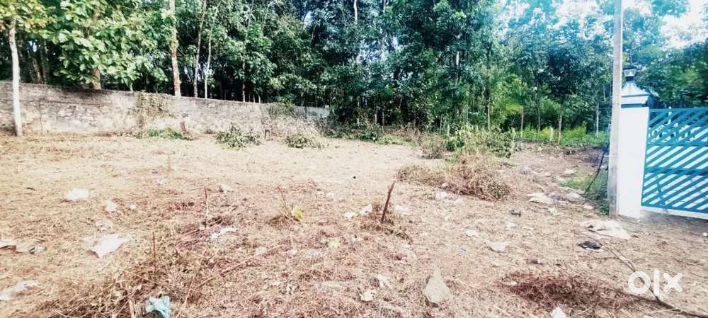 Prime land for sale in kumbanad just 0.8 km from junction