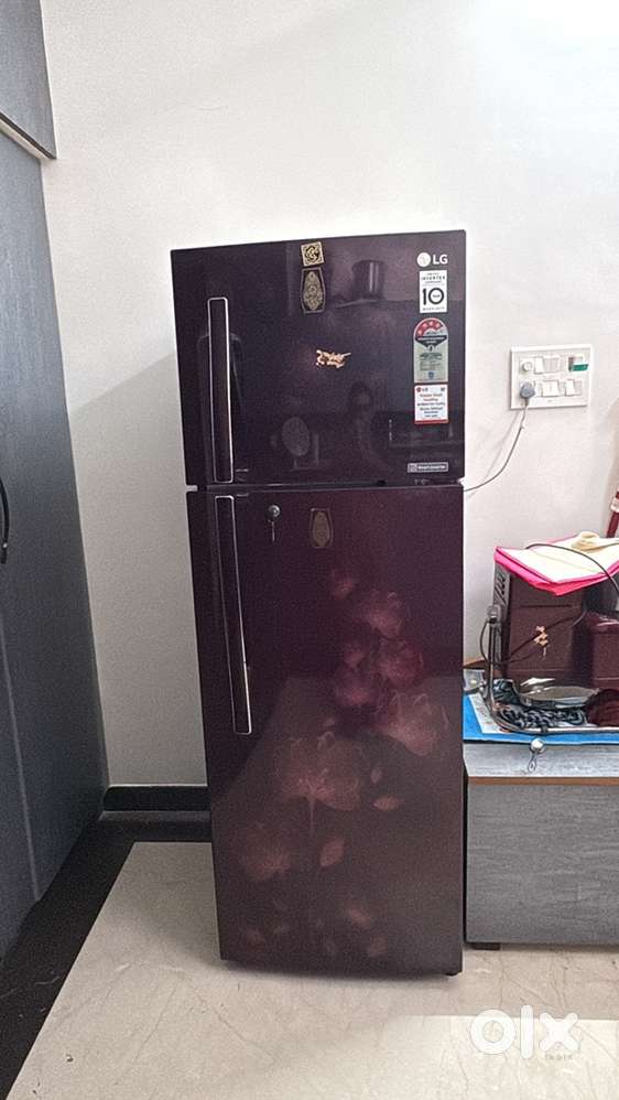 LG smart inverter double door fridge