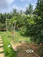 Site near sri chaitanya Cllg for salte