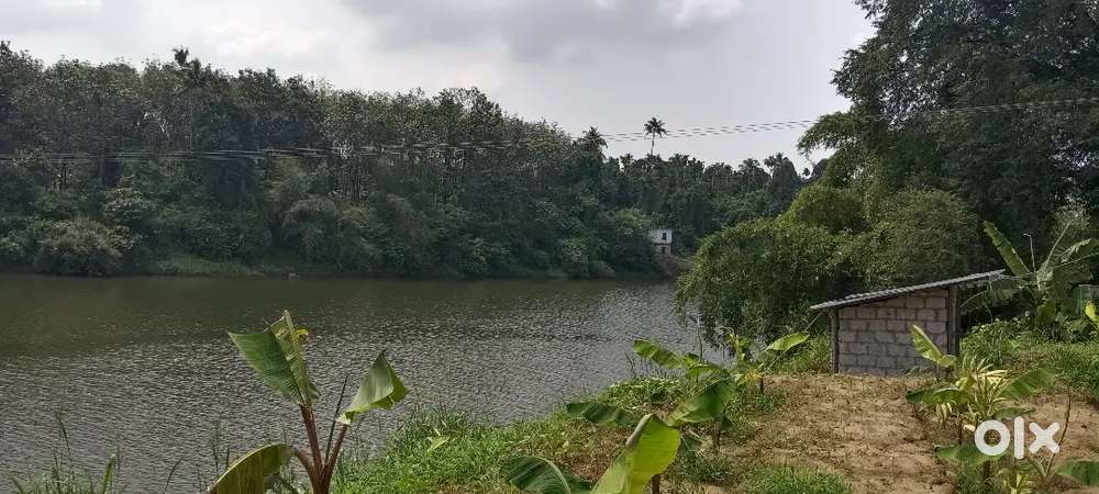 ചാലക്കുടി ആതിരപ്പള്ളി റൂട്ടിൽ 50 സെൻ്റ് പുഴ തീരം റിസോർട്ടിന് അനുയോജ്യം