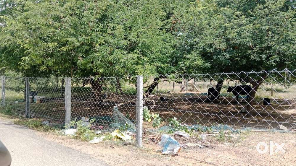 Kanyakumari land for sale