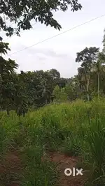 Plot for Sale