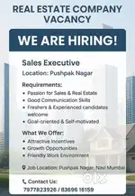 Sales Executive