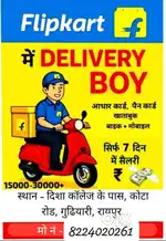 Delivery executive