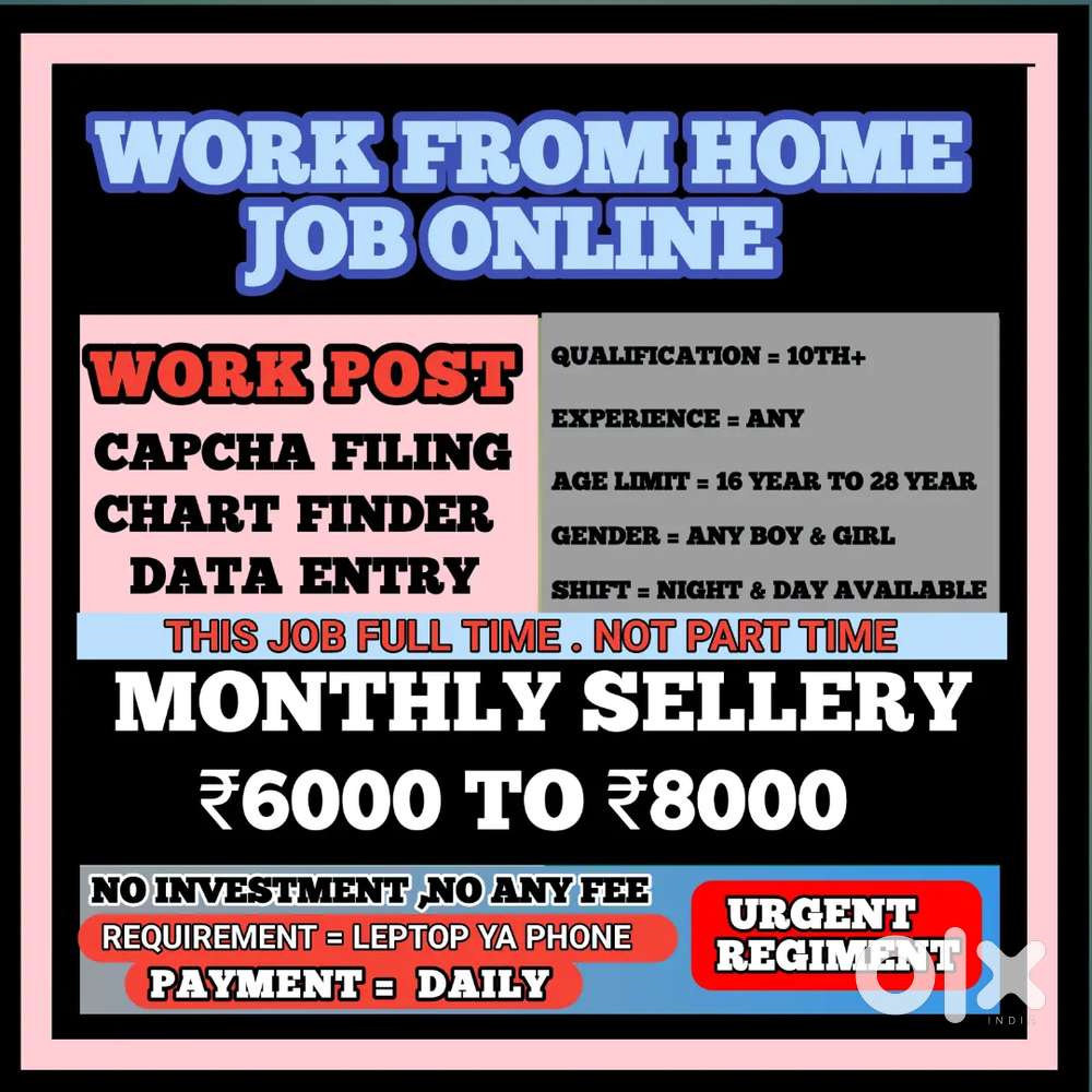 Work From Home Online Job Data Entry D15
