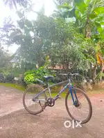 Hybrid cycle