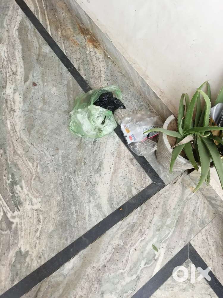 NEAR by PGIMS ROhtak TWO ROOMS AVAILABLE FOR RENT ONLY FOR PGI STUDENT