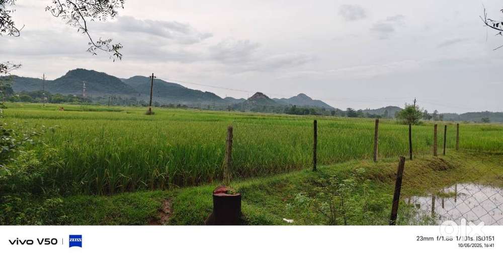 Agriculture land for sale immediately located 1 km distance from NH-6