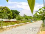 PREMINUM RESSIDENTIAL PLOT FOR INVESTMENT,, NEAR AMBUJA MALL
