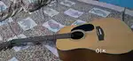 Cort acoustic imported guitar