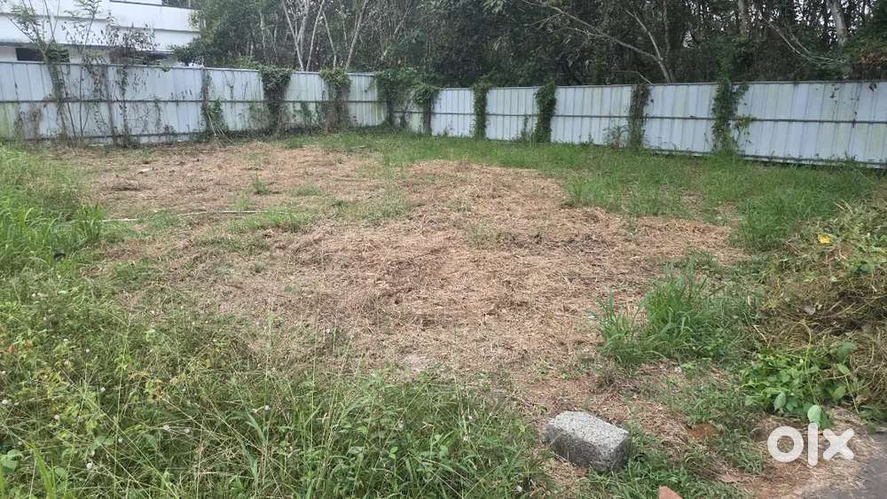 4 cent plot പുത്തനമ്പലം ജംഗ്ഷന് ഒരു കിലോമീറ്റർ മാറി