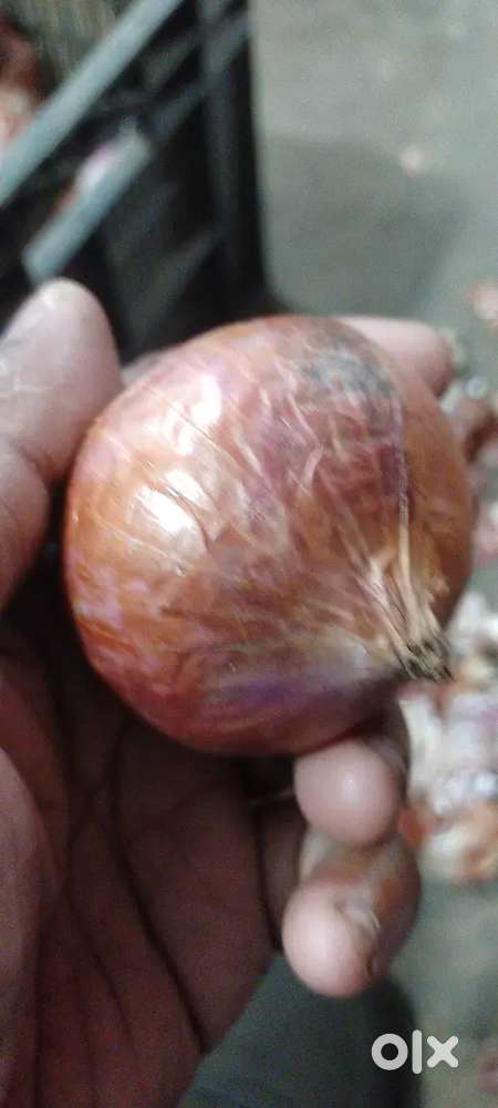 Vegetabsalesmanle shop driving and