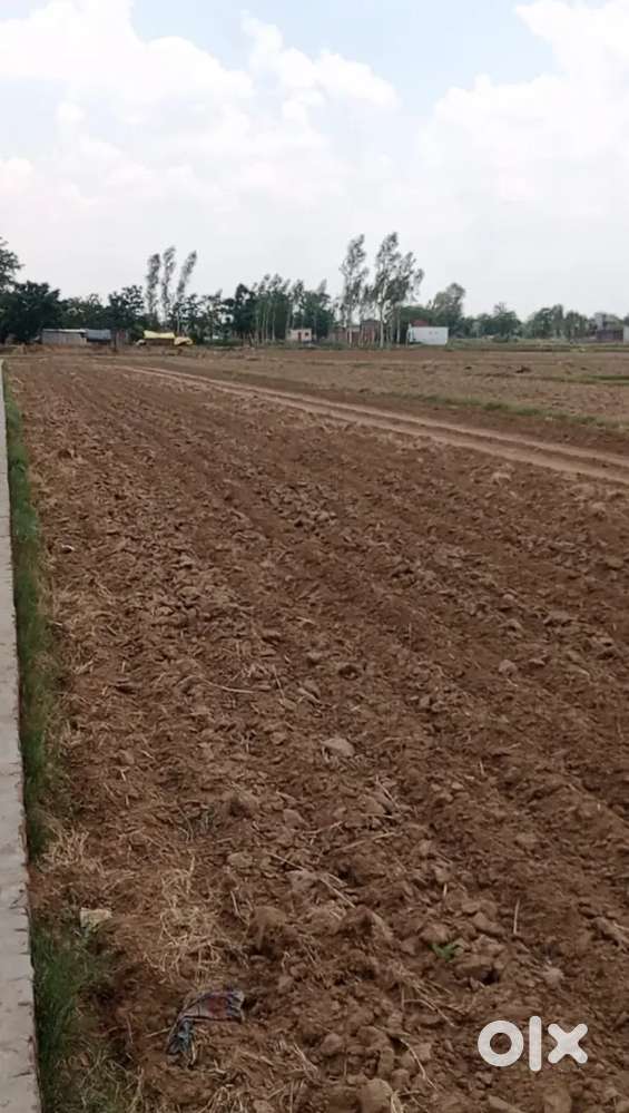 Deoria road Ramnagar karjaha Gorakhpur city nearby