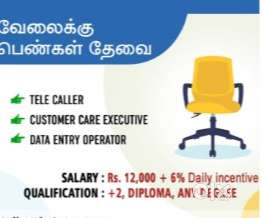 Telecaller customer care executive, Data entry operator