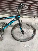 Street hawk