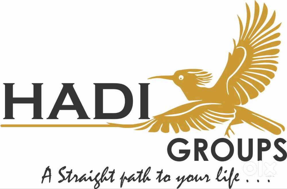 HADI GROUPS
