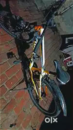 Avon cycle