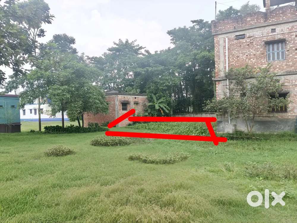 2.5 শতক জায়গা বিক্রি আছে(Near Chanchal nuri jame masjid)