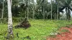 Calicut eravannur