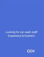Car washing staff