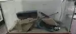 Fish aquarium with accessories