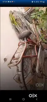 Ladybird cycle