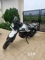 Himalyan 450 Brand New 500 KMS Driven