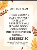 Sales Manager