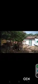 LAND FOR SELL IN BAGUNNAGAR BARIDIH