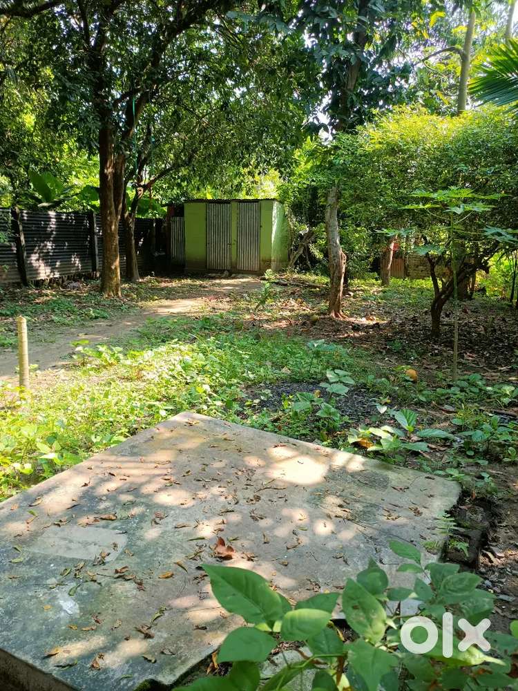 5 kata jomi Mayapur Ghat road