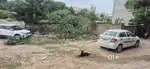 in jain colony plot available