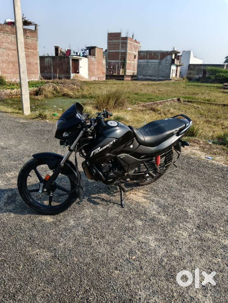 Passion pro 2023 model